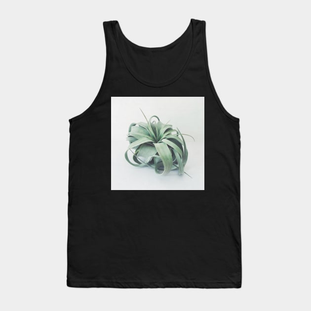 Air Plant III Tank Top by Cassia